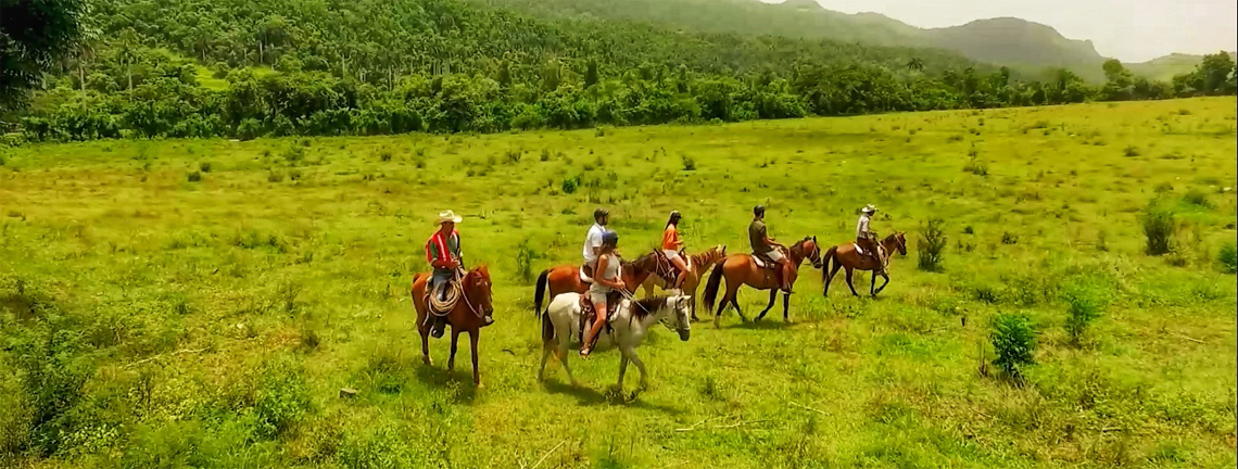 Horse riding